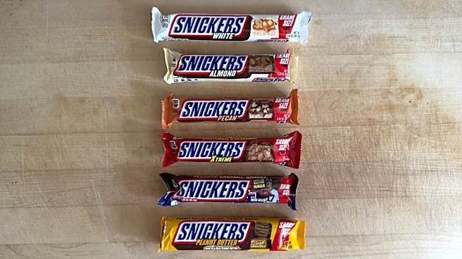 I Tried 6 Snickers Flavors And This Was The Best