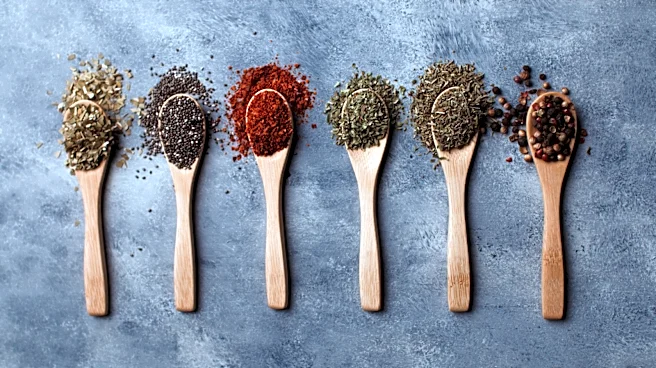 Pitmasters Share Their Tips For Using BBQ Seasoning Rubs
