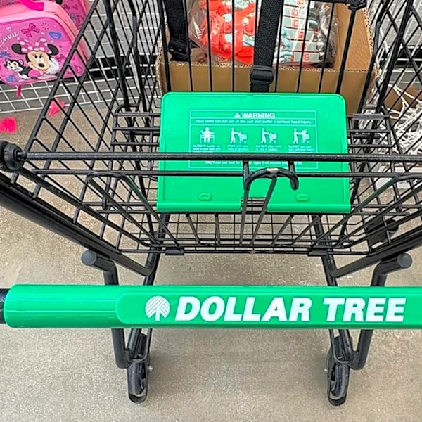 Check Dollar Tree For This Type Of Item On Your Next Shopping Trip