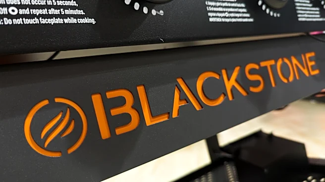 The Blackstone Accessory That's Worth Buying Year-Round