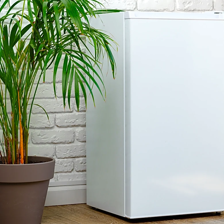 The Best Mini-Fridge For Dorm Season 2026, Per Consumer Reports