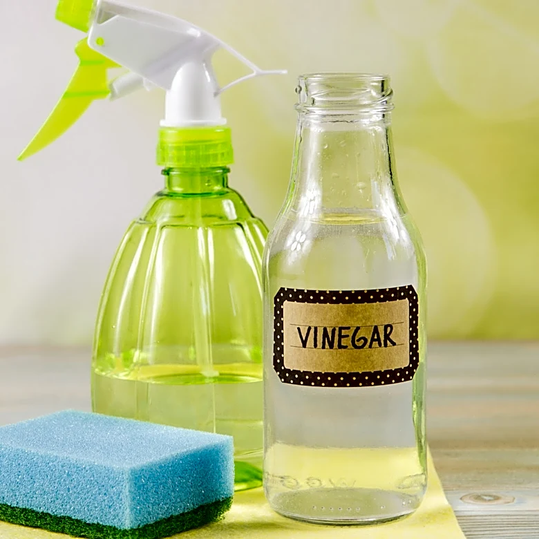 5 Kitchen Appliances To Clean With White Vinegar
