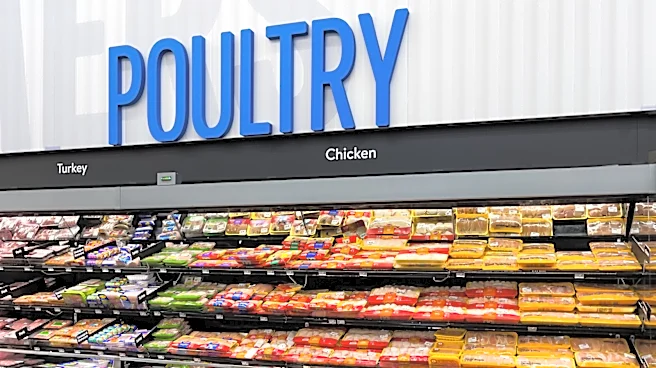 The Legal Loophole Behind The 'Fresh' Chicken Americans Buy Every Day