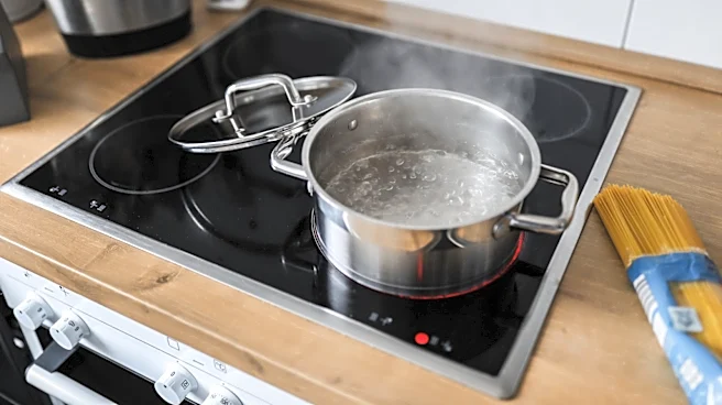 Never Use These Types Of Cookware On Your Induction Stovetop