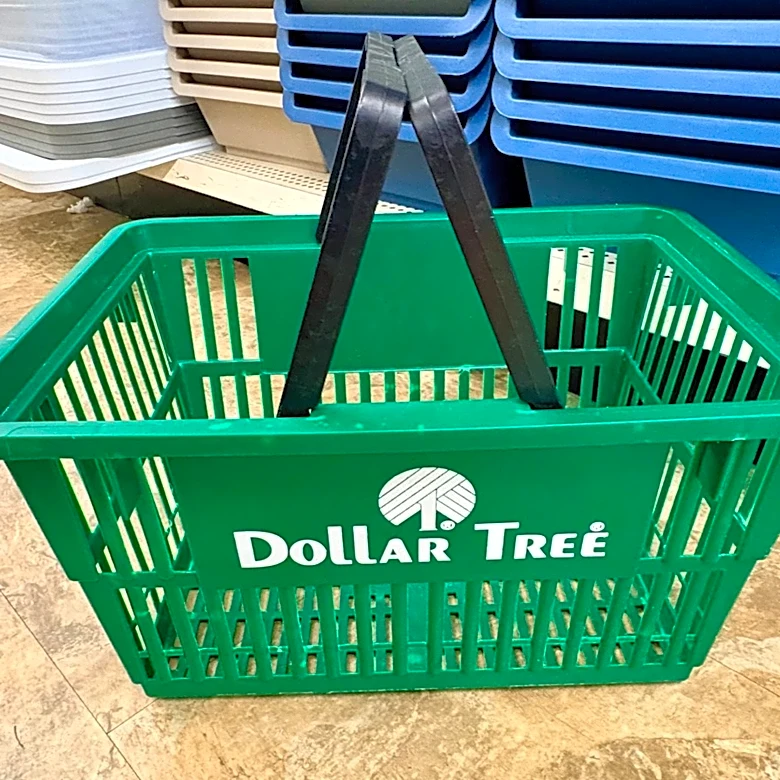 8 Dollar Tree Kitchen Storage Items That Aren't Worth Buying