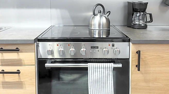 5 Disadvantages Of An Electric Stove