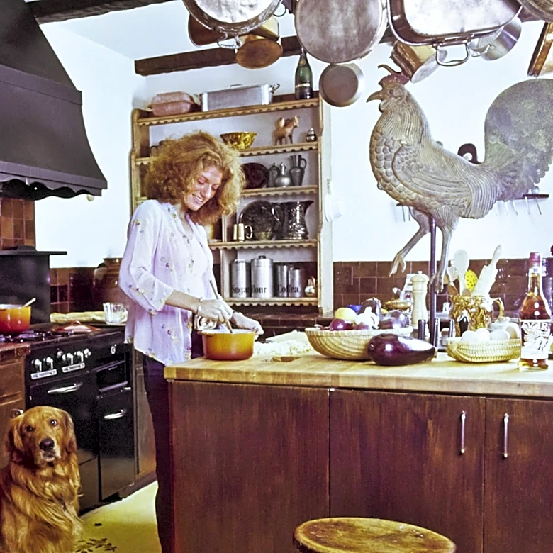 The Small Kitchen Appliance From The '70s That's Still Popular Today