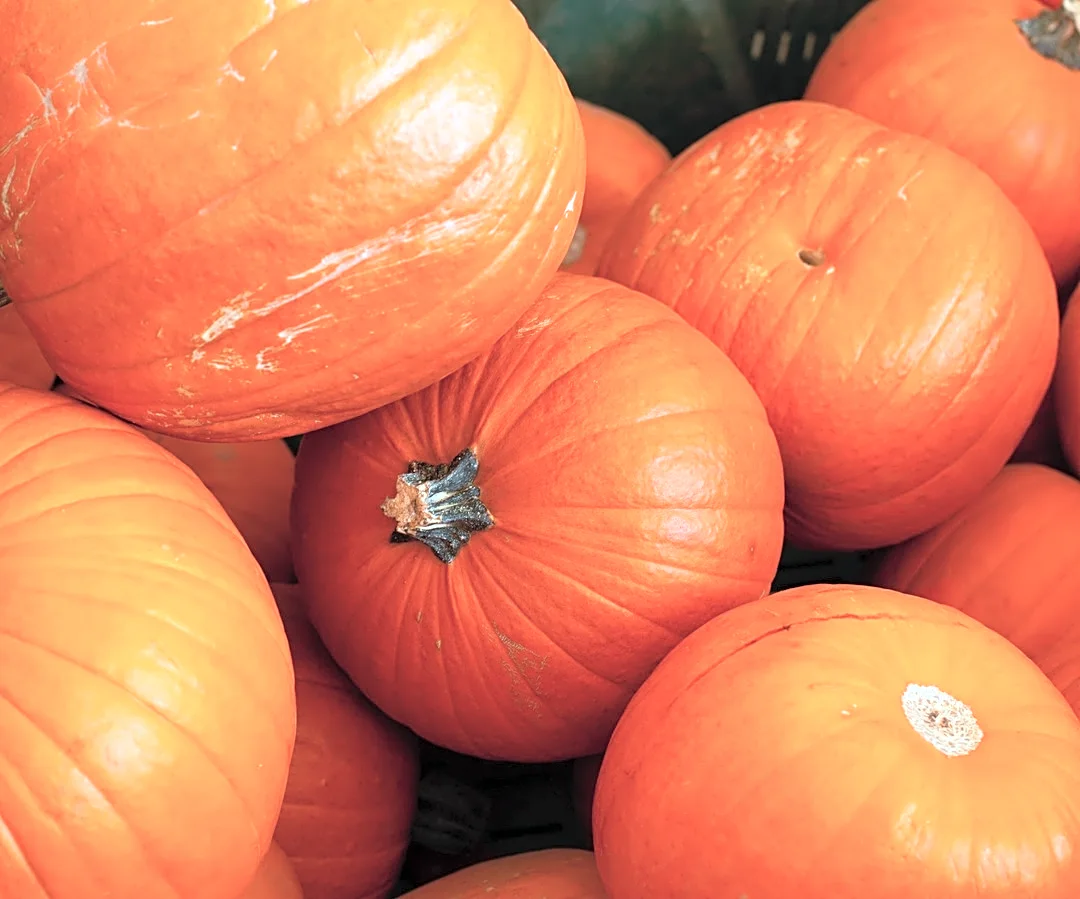 Pumpkin Is 10x More Flavorful When Paired With This Chocolate