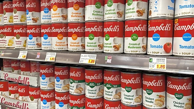 The Campbell's Canned Soup That Contains The Least Sodium