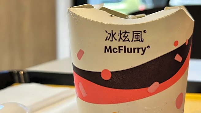 18 McDonald's McFlurry Flavors We Wish We Had In The US