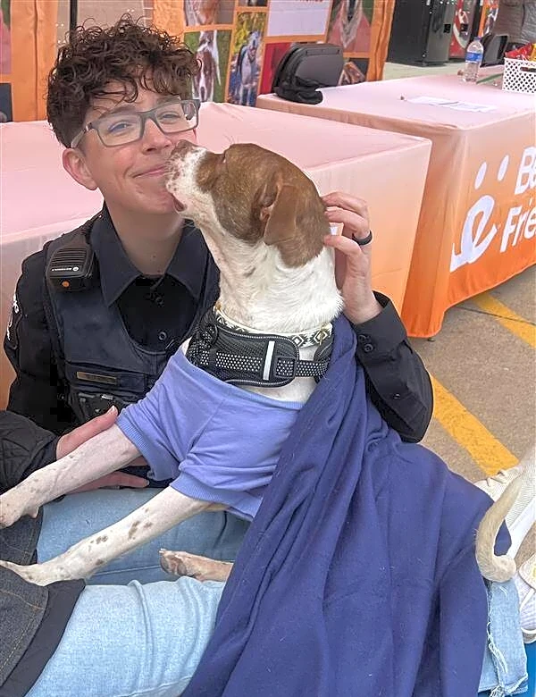 Shelter Dog 'Taken Into Custody' By Police Officer For A Life-Changing Reason