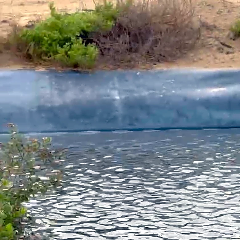 Rescuer Spots A Tiny Head Bobbing In Flooded Construction Site And Jumps In