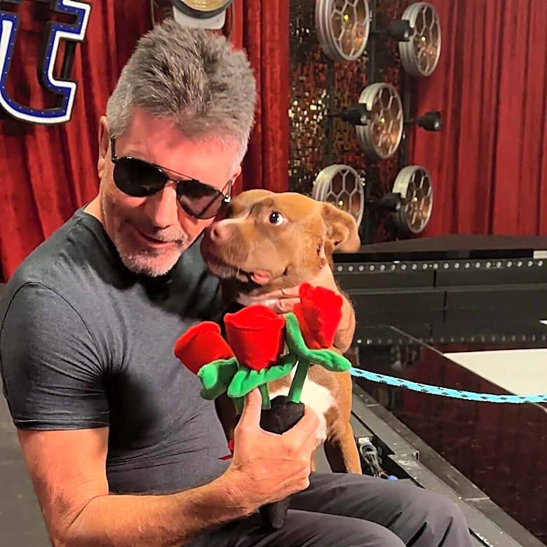 Simon Cowell Falls Hard For A Rescue Pittie On His Dodo Dream Date