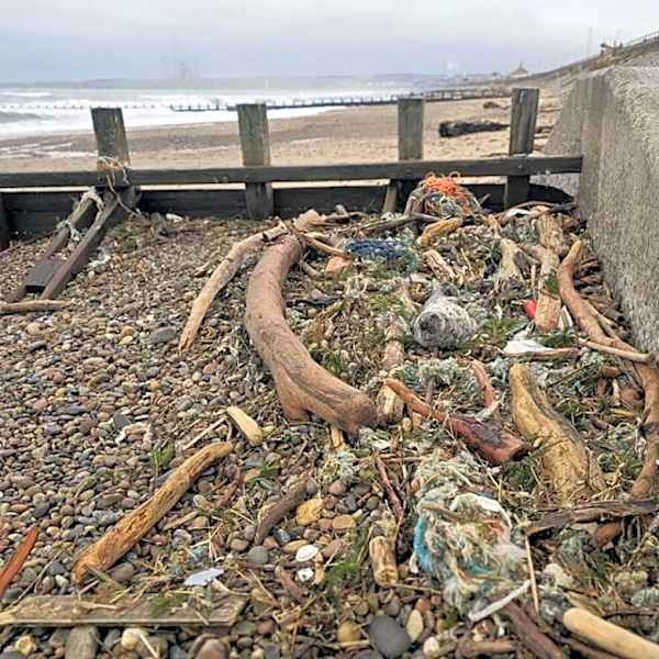 Beachgoer Calls For Help When They See Wild Animal Napping In Trash Pile