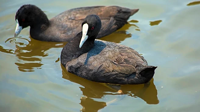 Woman Sees Movement In Flower Bed — And Discovers A Bird On A Sweet Mission