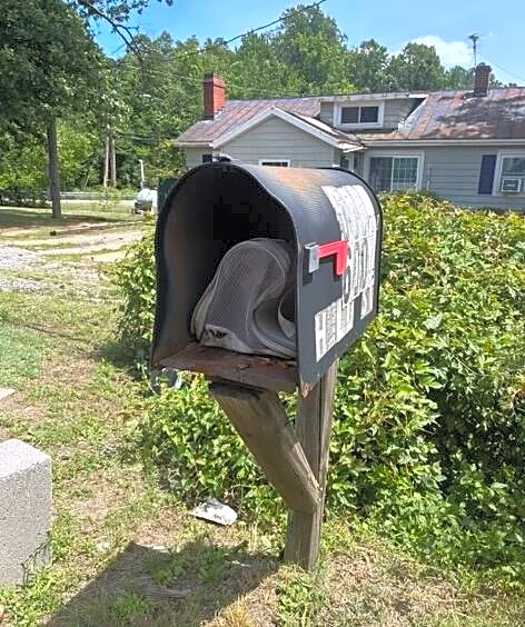 Someone Left a Package in Their Mailbox — Then It Moved