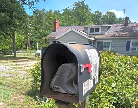 Someone Left a Package in Their Mailbox — Then It Moved