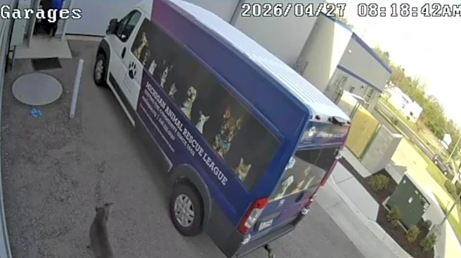 Security Camera Captures Stray Dog Checking Herself Into Animal Shelter