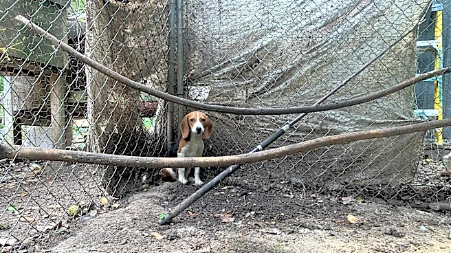 He Was 'Too Gentle' To Hunt — So He Spent A Year Locked In A Cage