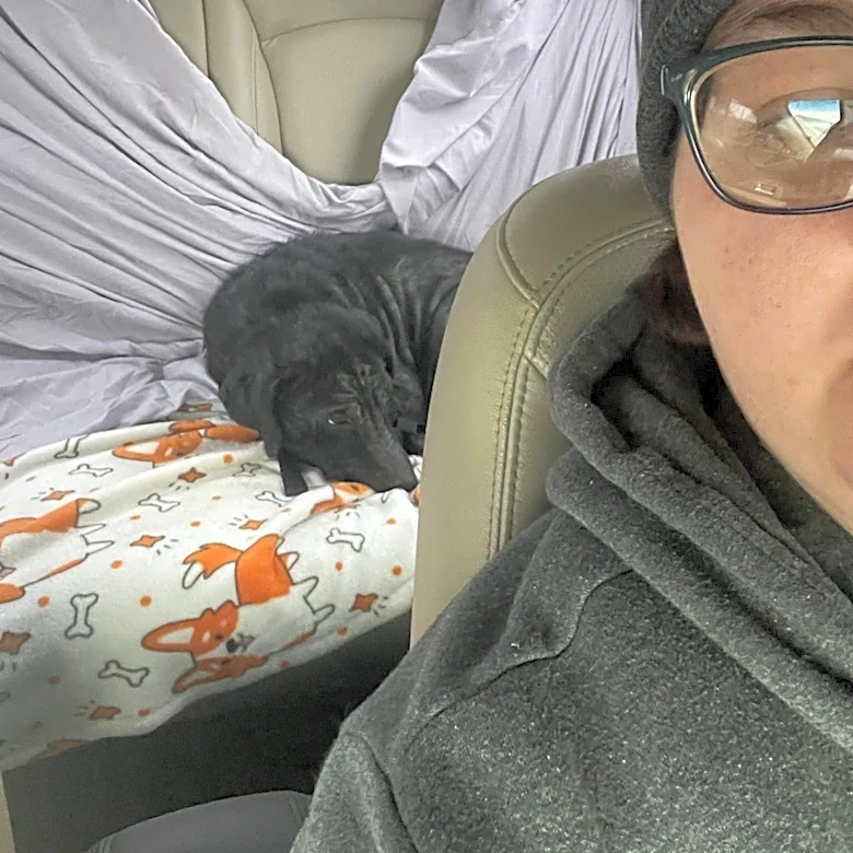 Rescuer Gives Terrified Dog One Simple Piece Of Clothing — And Everything Changes