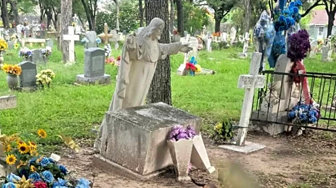 Abandoned Pack Of Babies Swarm Cemetery Visitor's Feet, Begging For Help