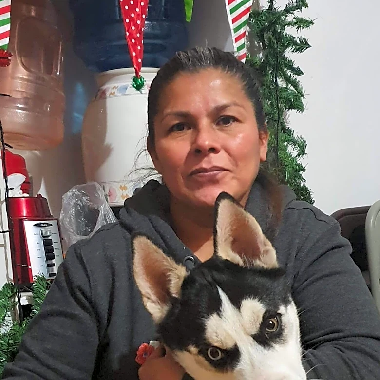Husky Wanders Away From Home — And Ends Up In Another Country