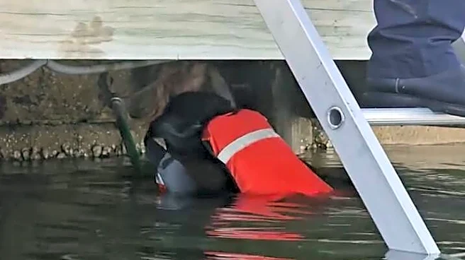 Firefighters Jump Into Lake To Save Drowning ‘Dog’ — But Rescue A Very Different Animal