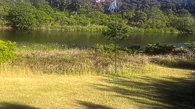Landscaper Calls For Help When He Sees A Gorgeous Bird Suspended Over A Pond