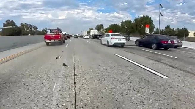 Motorcyclist Runs Into Highway Traffic When He Realizes ‘Trash’ In Road Is Breathing