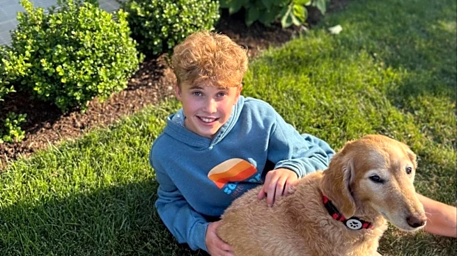 Dog Won't Stop Scratching At Window Until Kid Follows Him To Trapped Baby Animal