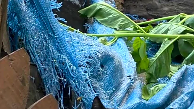Homeowners Hear Cries Coming From Woodpile And Find Fuzzy Baby Trapped In Tarp