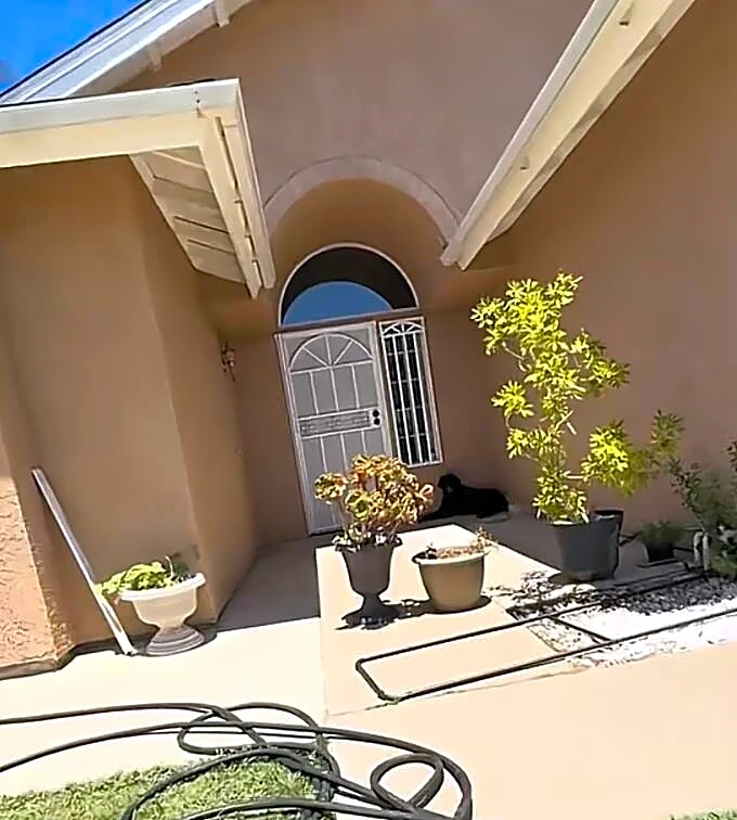 Woman Comes Home To A Huge Dog On Her Porch — Then Realizes What's Going On