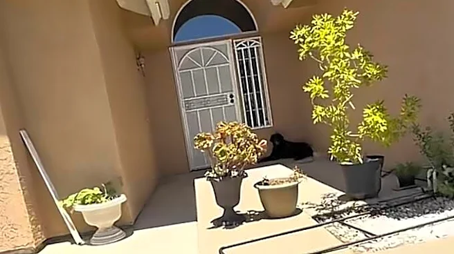 Woman Comes Home To A Huge Dog On Her Porch — Then Realizes What's Going On
