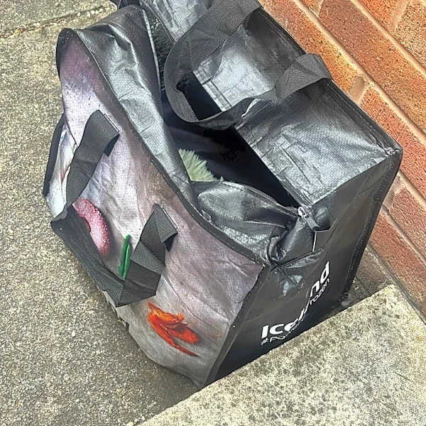 Workman Spots Shopping Bag Near Basketball Court — Then Sees A Tiny Head Poke Out
