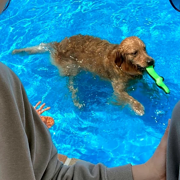 Woman Notices Everything Has Gone Quiet — Then She Checks On Her Dog