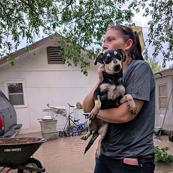 Rescuers Rush To Help During Texas Floods And Find Hundreds Of Animals Stranded