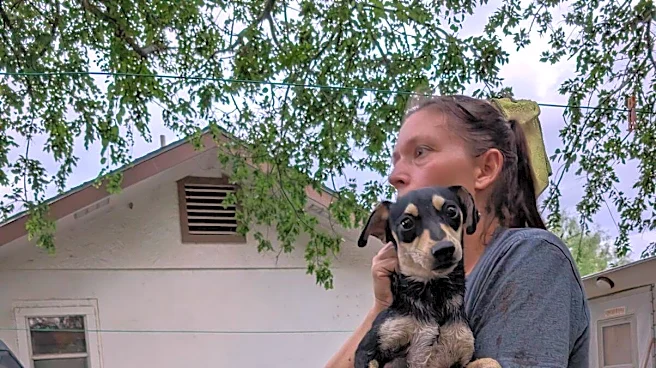 Rescuers Rush To Help During Texas Floods And Find Hundreds Of Animals Stranded