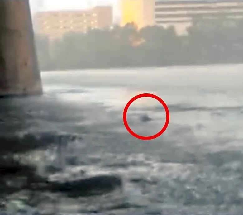 Fishermen Rush To Save A Drowning 'Dog' — But Find Someone Else Instead