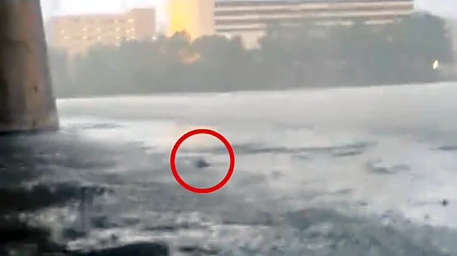Fishermen Rush To Save A Drowning 'Dog' — But Find Someone Else Instead