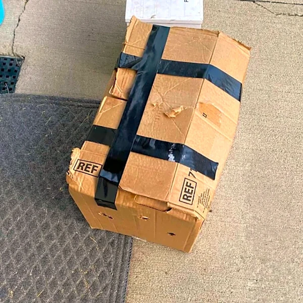Volunteers Find Mysterious Box Covered In Air Holes — And Save An Entire Fuzzy Family