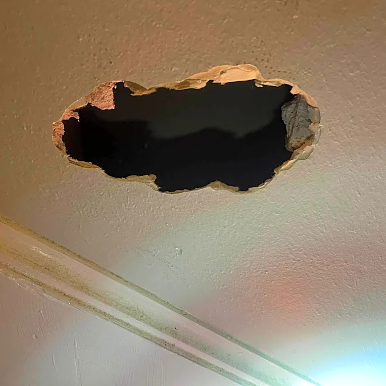 Couple Hears Cries Coming From Wall — And Realizes There Are 5 Babies Trapped Inside