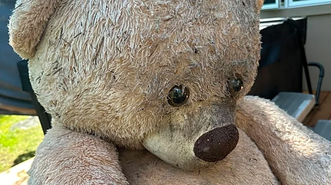 Bear Finds A Giant Teddy Bear In The Woods — And Makes An Unexpected Friend