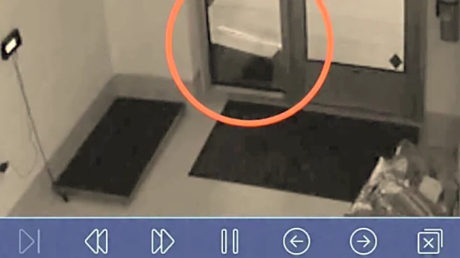 Shelter Workers Find Box Full Of Babies On Doorstep — Then Check The Cameras