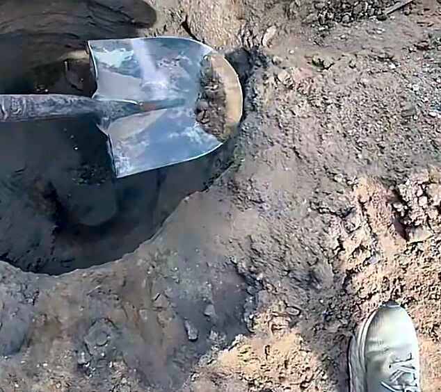 Builder Pauses Work When He Sees Pile Of Dirt At Bottom Of Hole Start To Move