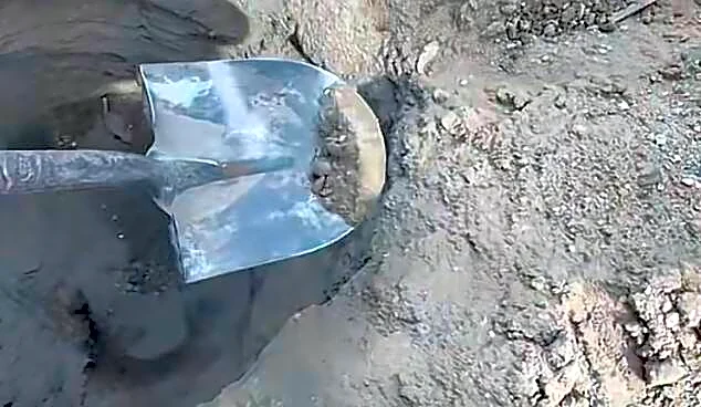 Builder Pauses Work When He Sees Pile Of Dirt At Bottom Of Hole Start To Move