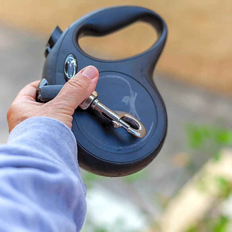 Heart-Pounding Video Shows The Hidden Dangers Of Retractable Dog Leashes