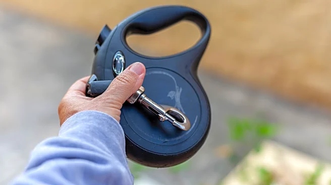 Heart-Pounding Video Shows The Hidden Dangers Of Retractable Dog Leashes