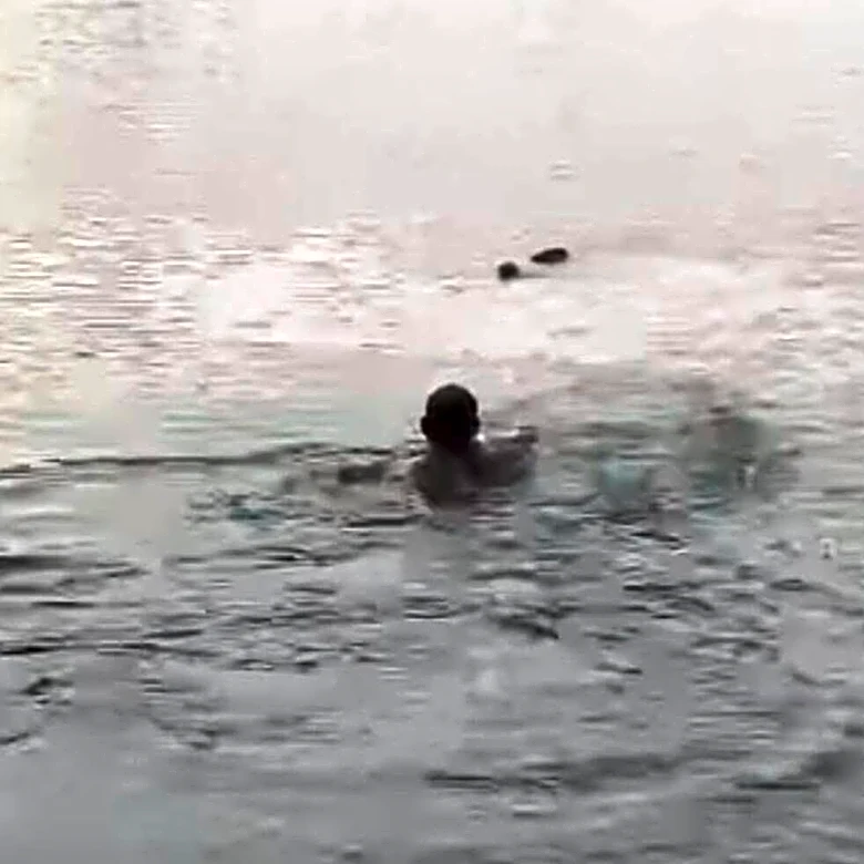Family On Camping Trip Drops Everything To Help Drowning Baby Animal