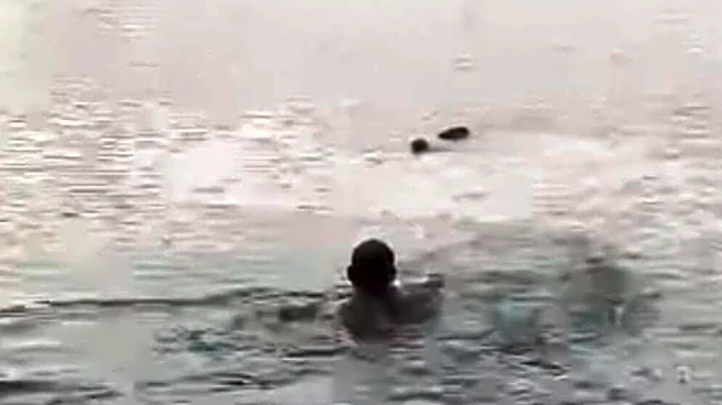 Family On Camping Trip Drops Everything To Help Drowning Baby Animal