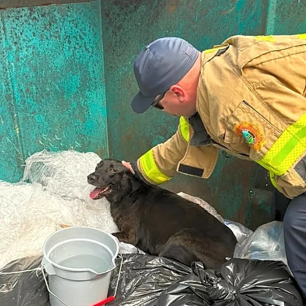 Firefighters Respond To Call About 'Ducklings' In Trash — Then Make A Forever Friend